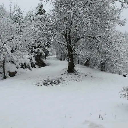 Asinistravolti